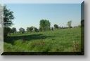 Ostermontag_2011_8.jpg