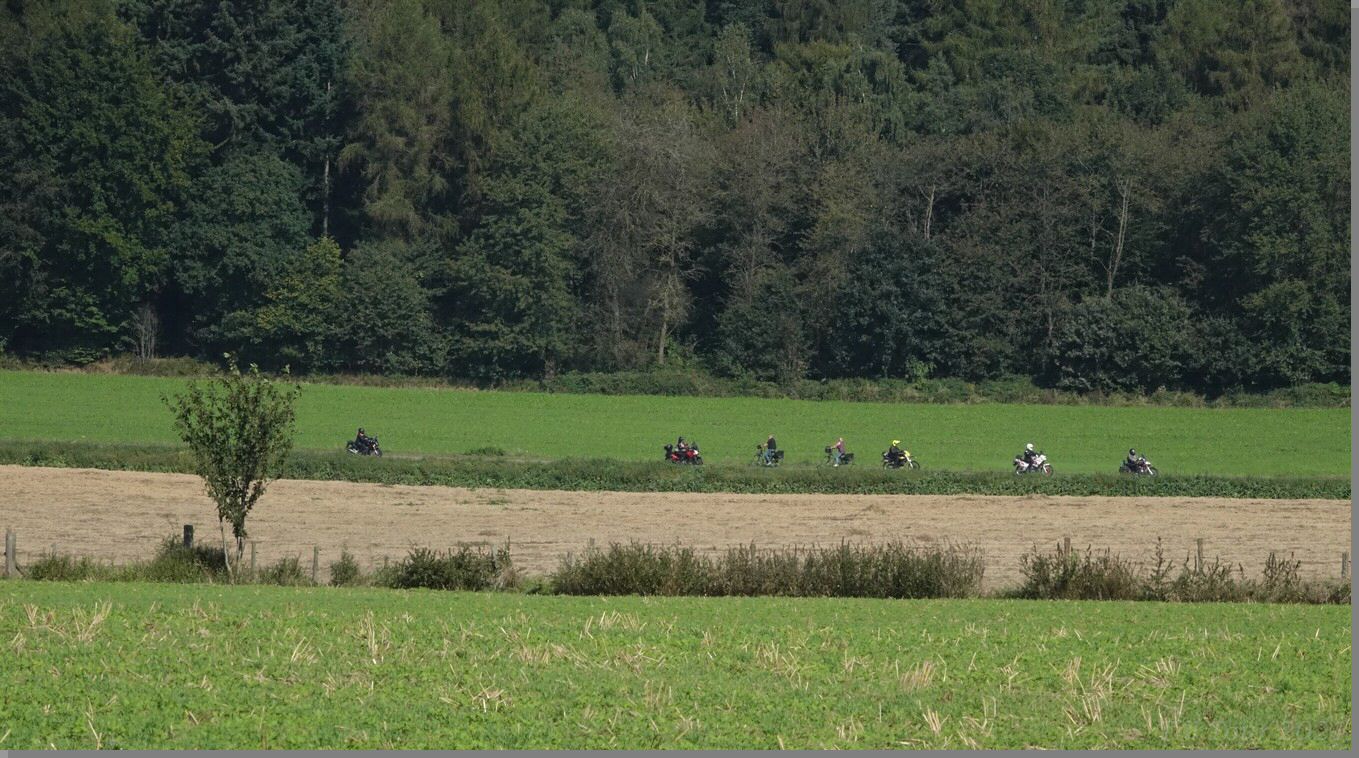 DSC08954.jpg