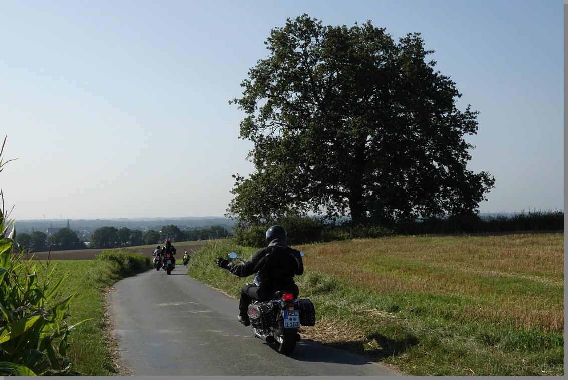 DSC08958.jpg